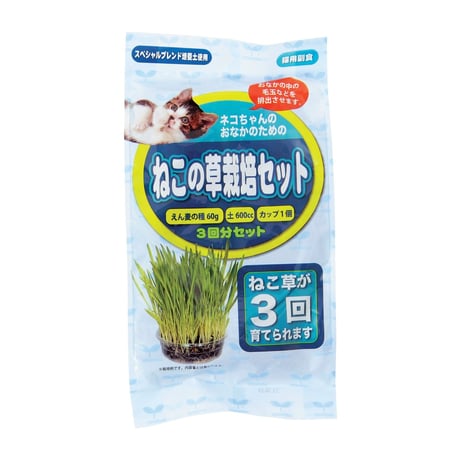 ねこの草栽培セット　3回分×40入　Growing oats kit for cat