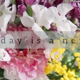 La terre flower