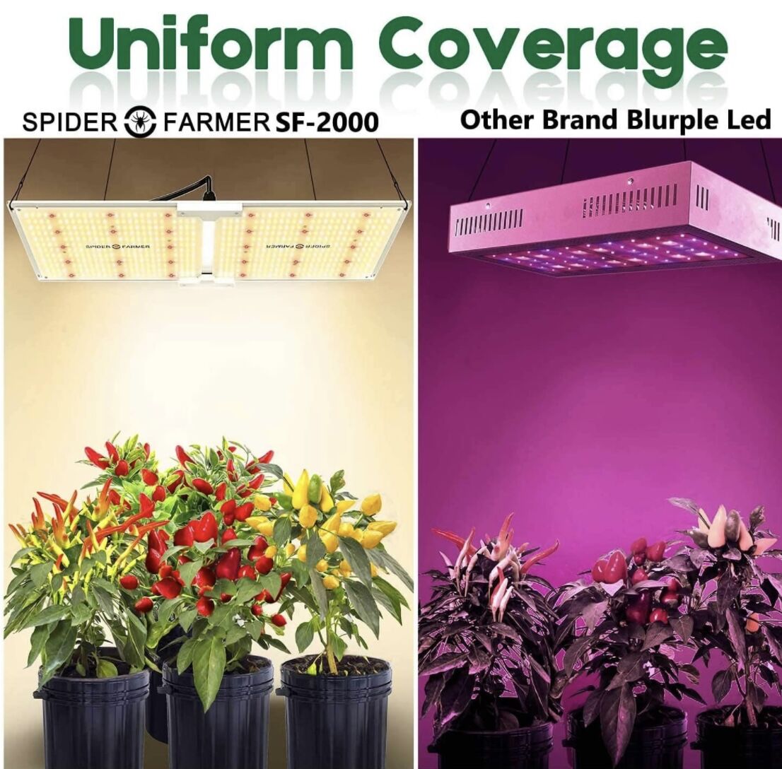 spider farmer SF-2000 EVO【正規代理店保証付き】 | 緑化企画-太陽-