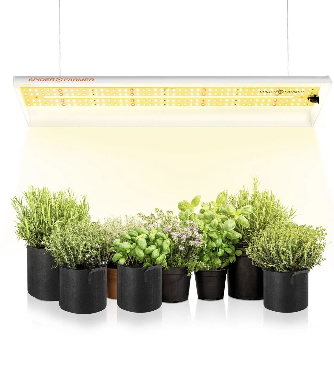 Spider Farmer SF-600 【多肉,育苗,ハーブ】 | 緑化企画-太陽-