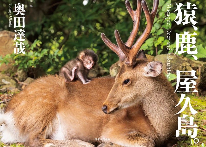 旅猿シーズン18までセット 欠品一枚あります ９３枚セット 写真集『猿、鹿、屋久島。』奥田達哉（サイン入り） | TATSUYA OKUDA