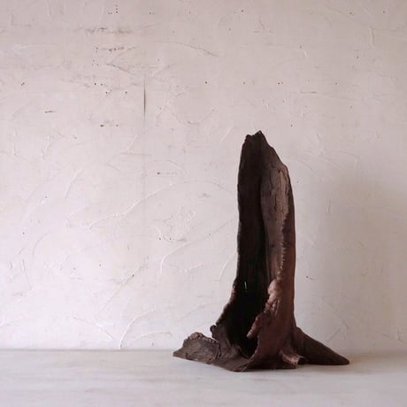 枯れ木　オブジェ