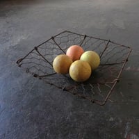 金網