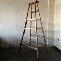 大きな脚立