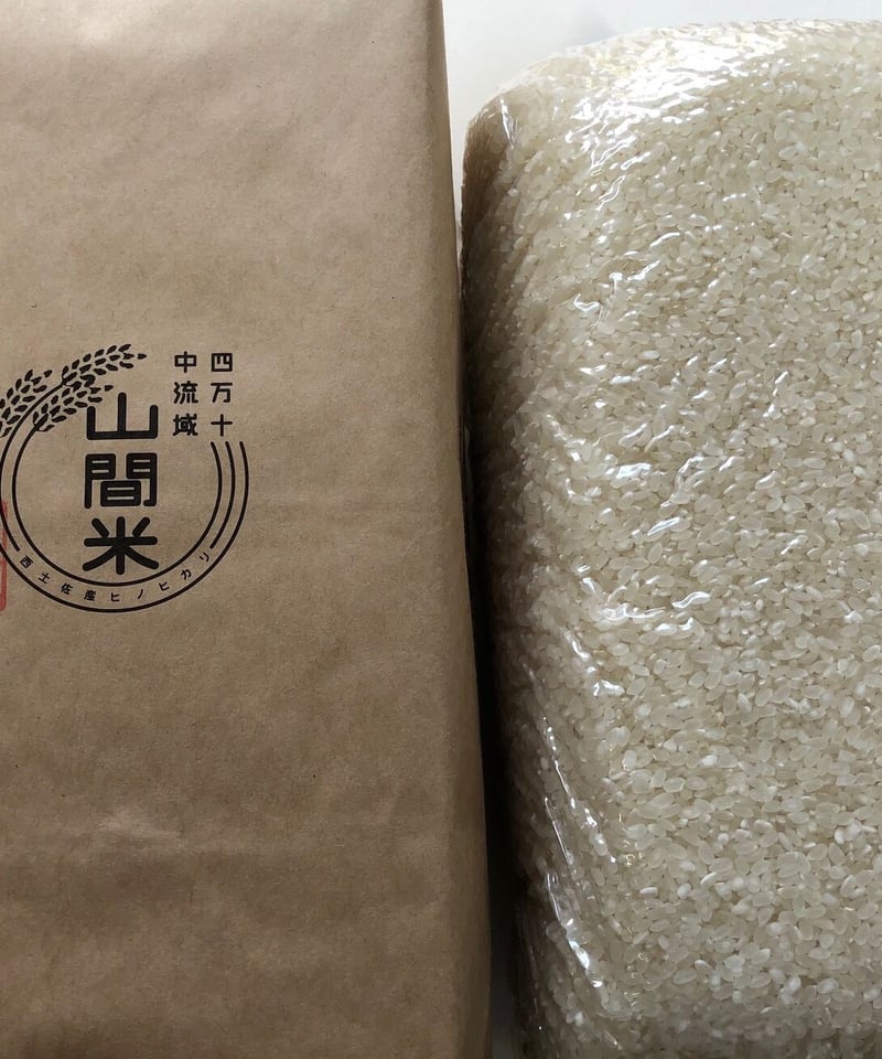 【貴重】土佐米 ヒノヒカリ 高知県産 令和6年産 玄米 10キロ 貴重】土佐米 ヒノヒカリ 高知県産 令和6年産 玄米 10キロ