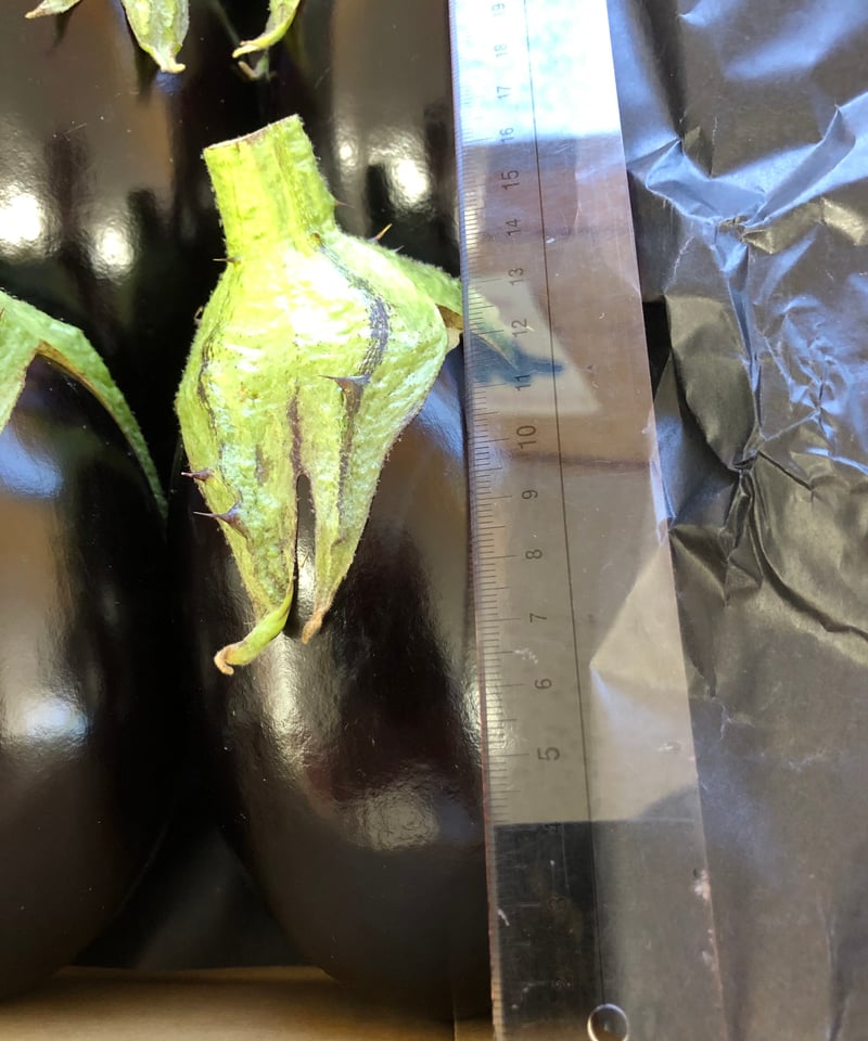 デカ！ピカ！ツル！しまんとにしとさ米ナス9玉（約2.7kg） | 山間屋