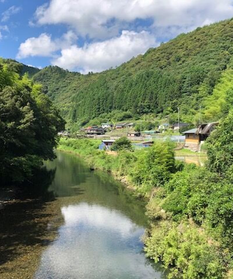 ギフト包装【令和7年産米】山間米5キロ（西土佐地区限定栽培の