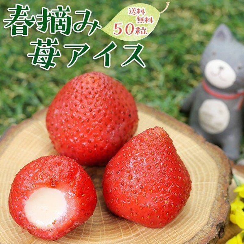 送料無料】春摘み苺アイス 50粒 カゴ風 fb-1 | mogumogu pantry