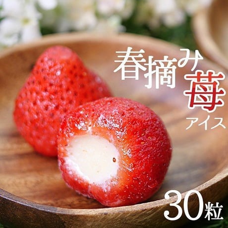 【送料無料】春摘み苺アイス 30粒　ytd00013