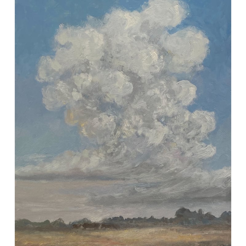 雲の情景(CielNo4)油絵 Oil painting(木製ボード)No.B10904 雲の情景(CielNo4)油絵 Oil painting(木製ボード)No.B10904