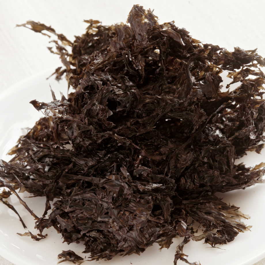 岩のり 手摘み岩のり 11g | 福田海産