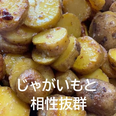 ハコダテアンチョビ