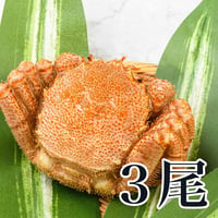 毛蟹セット（ボイル済）400g前後×3尾入