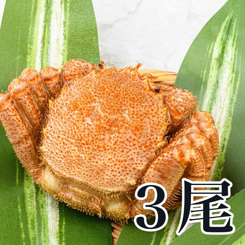 毛蟹セット（ボイル済）400g前後×3尾入 （冷凍） | 福田海産