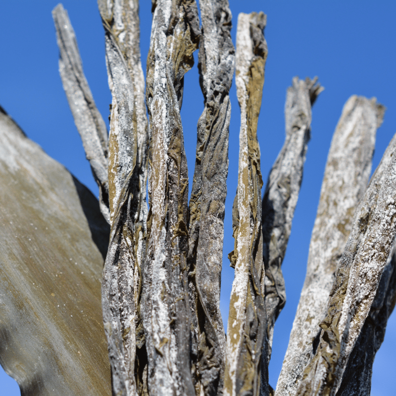 シナモン。北海道産！やわらか早煮昆布2kg 200g×10袋 シナモン。北海道産！やわらか早煮昆布2kg 200g×10袋 シナモン