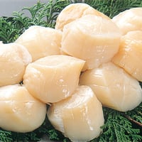 刺身用ホタテ貝柱　500g　(15個前後)