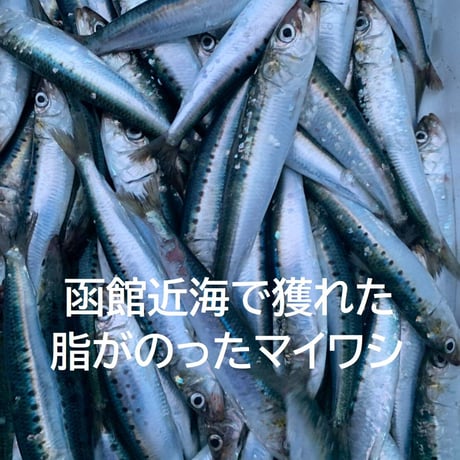 ハコダテアンチョビ