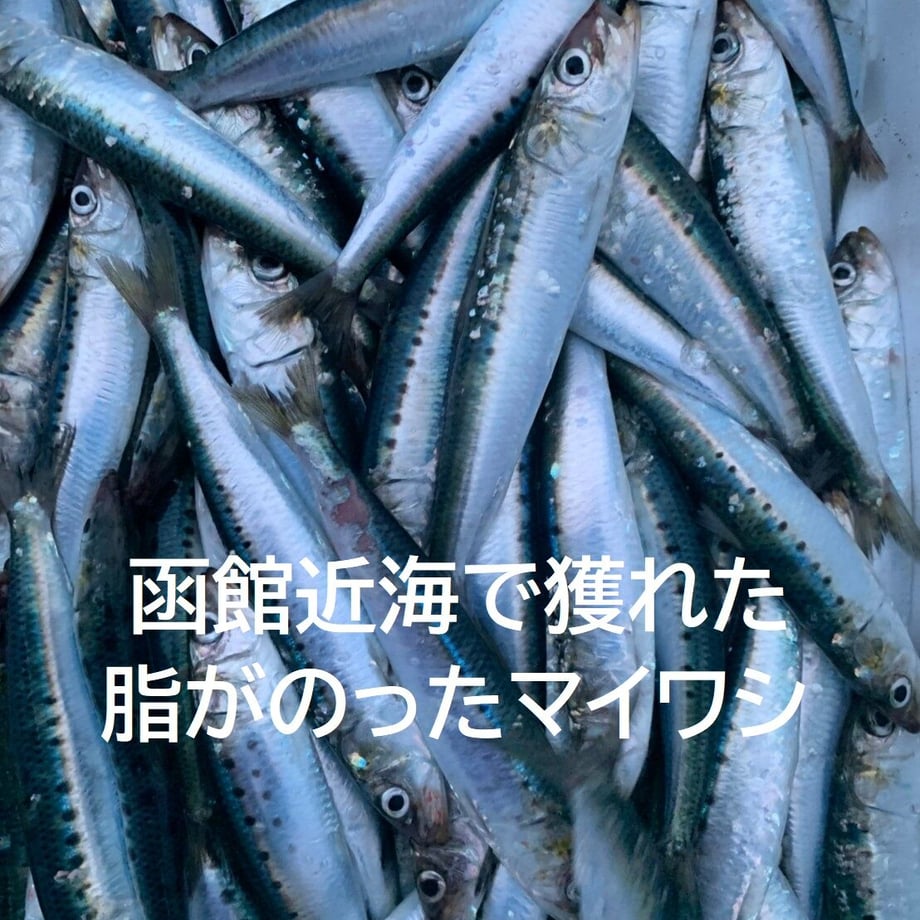 635a3c76c92c5d4e4bd48b30