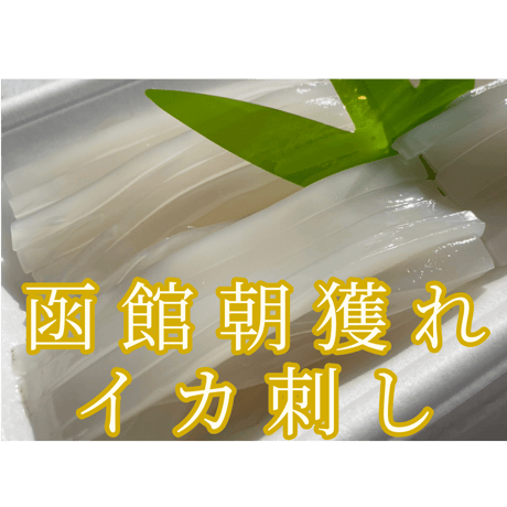 函館朝獲れ イカ刺し