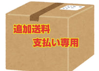 追加送料