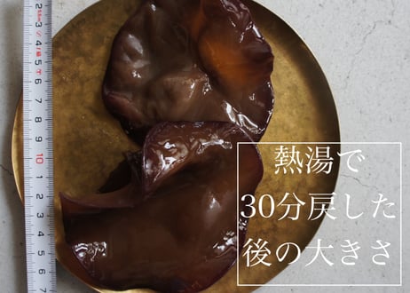 【薬膳食材】純国産(高知県産) 黒きくらげ／無農薬