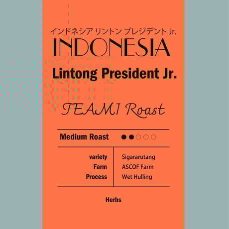 【100％ TEAMI Roast】インドネシア リントン プレジデントJr.［中浅煎り］