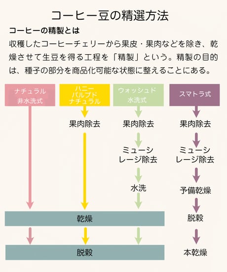 エチオピア イルガフェチェ アリーチャ［浅煎り］（100g）