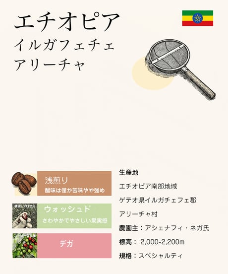 エチオピア イルガフェチェ アリーチャ［浅煎り］（100g）