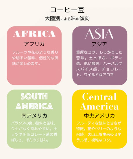 エチオピア イルガフェチェ アリーチャ［浅煎り］（100g）