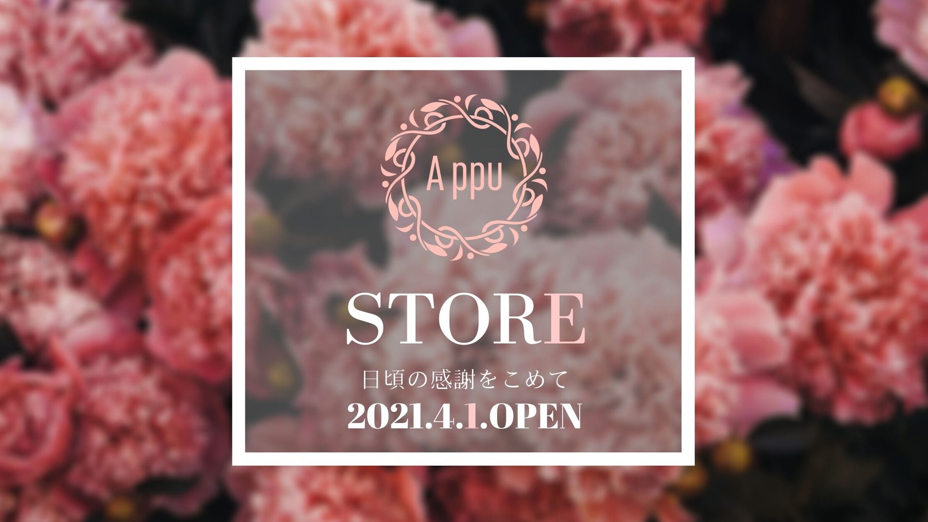 APPU STORE