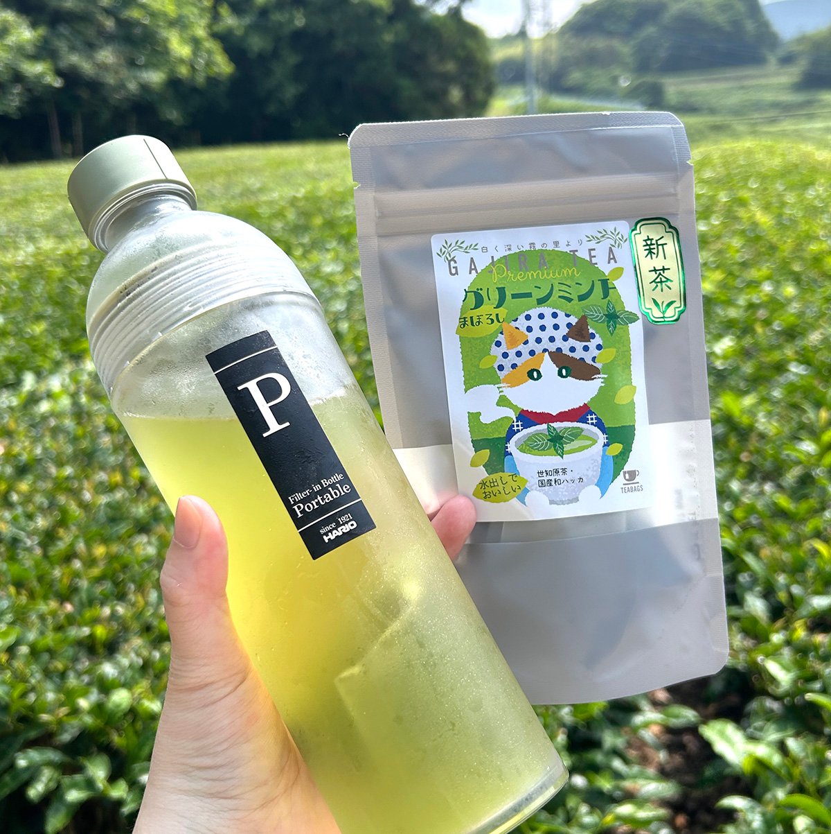 夏のプレミアム】まぼろしグリーンミント | 日本茶ベースで楽しく