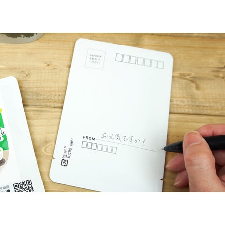 【2026年度新茶】世知原便り