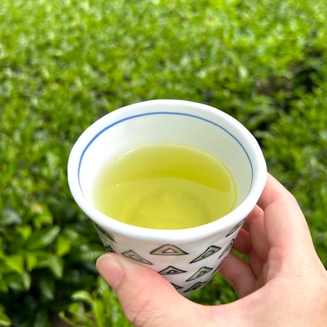 蒸製玉緑茶
