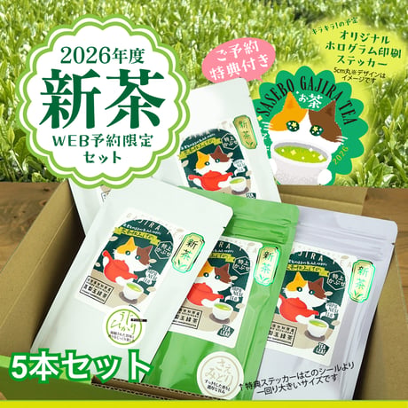 【ご予約商品】がじらの新茶5本セット【2026年度】