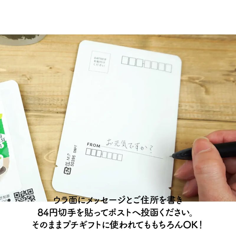 オリジナル】お茶レター | 日本茶ベースで楽しく美味しい“にゃお（ネオ