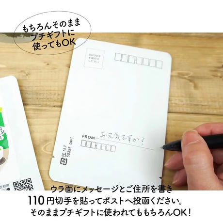 【ご予約商品】新茶レター10個セット【ポスト便】