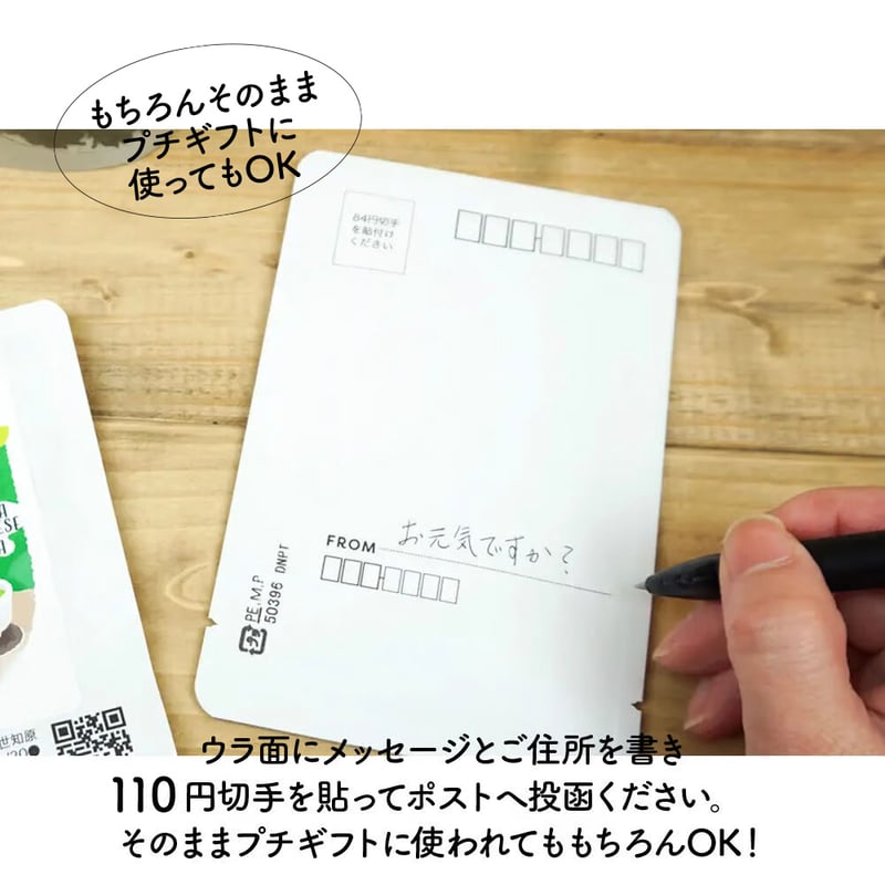 ご予約商品】新茶レター10個セット【ポスト便】 | 日本茶ベースで