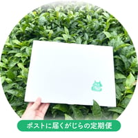 【ポストに届くがじらの定期便】