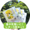 【暑中見舞い応援／10%OFF】お茶レターセット