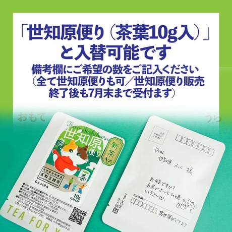 【暑中見舞い応援／10%OFF】お茶レターセット