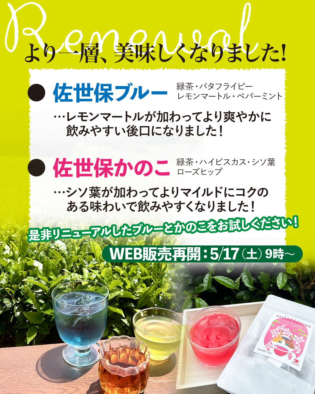 青い緑茶／ 佐世保ブルー | 日本茶ベースで楽しく美味しい“にゃお