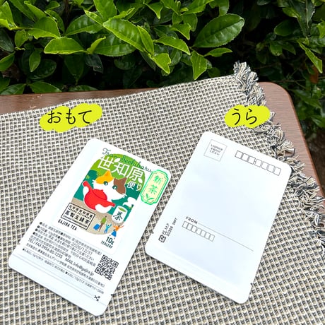 【2026年度新茶】世知原便り