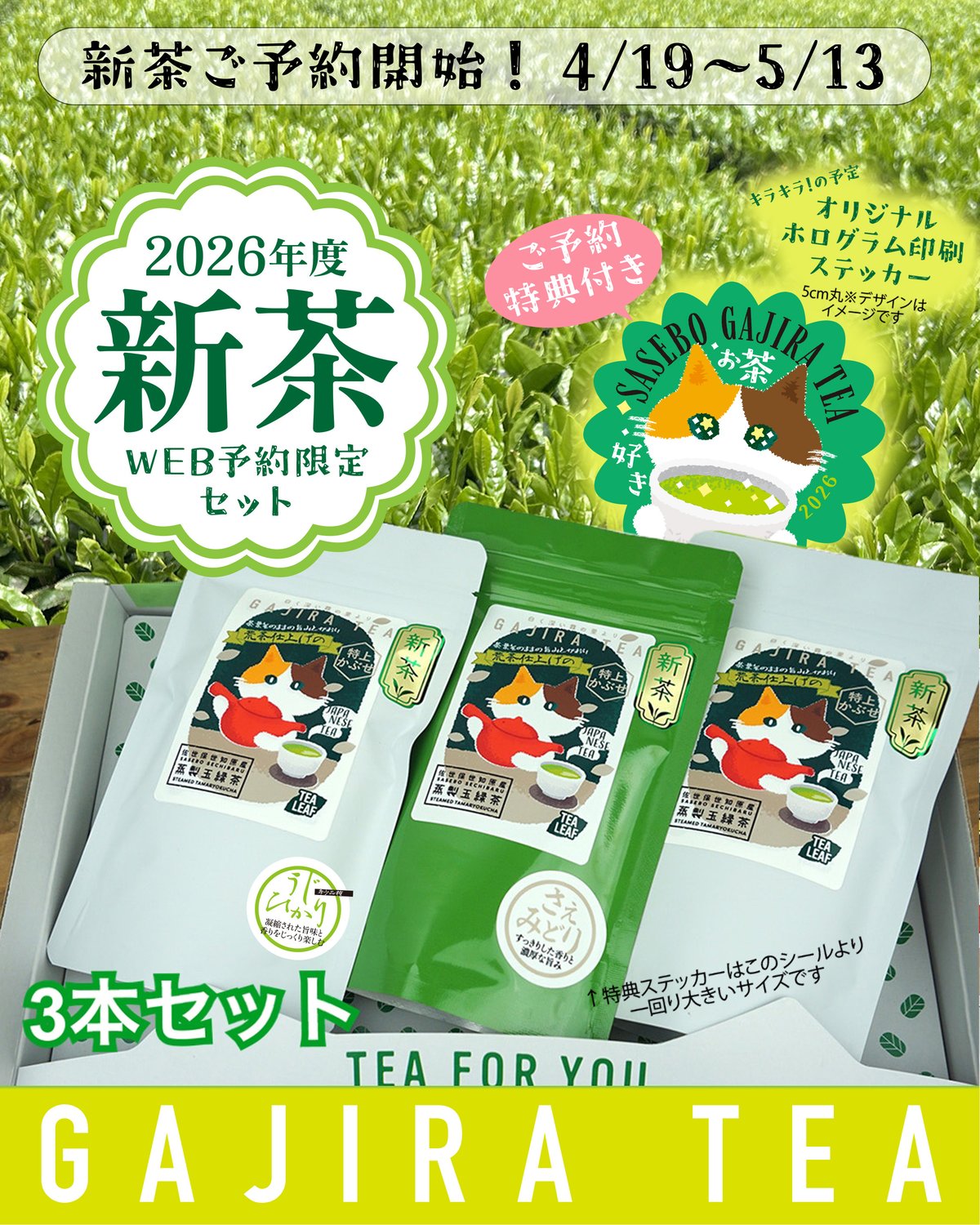 お茶様　　専用 ご予約商品】がじらの新茶3本セット【ポスト便】 | 日本茶ベースで