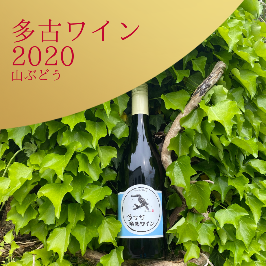 ★レア★ トロールビーズ　ディープオーシャン　【保証書付】 エドロバートジャドソン ED ROBERT JUDSON 24AW 財布 ミニウォレット