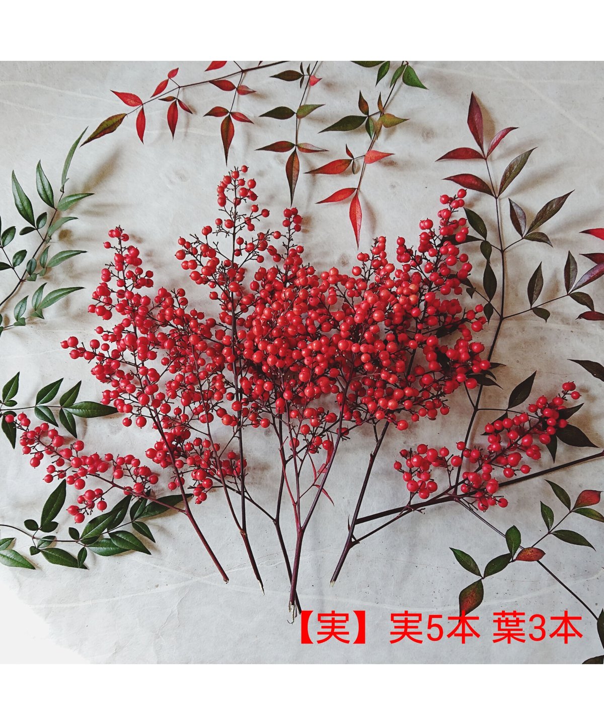 ❌大好評の南天の枝付きの実 5本と葉っぱ ラスト!!! 大好評の南天の枝付きの実 5本と葉っぱ ラスト!!!