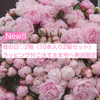New♡【10本×2箱】母の日ラッピング包装【送料税込】一部地域を除く