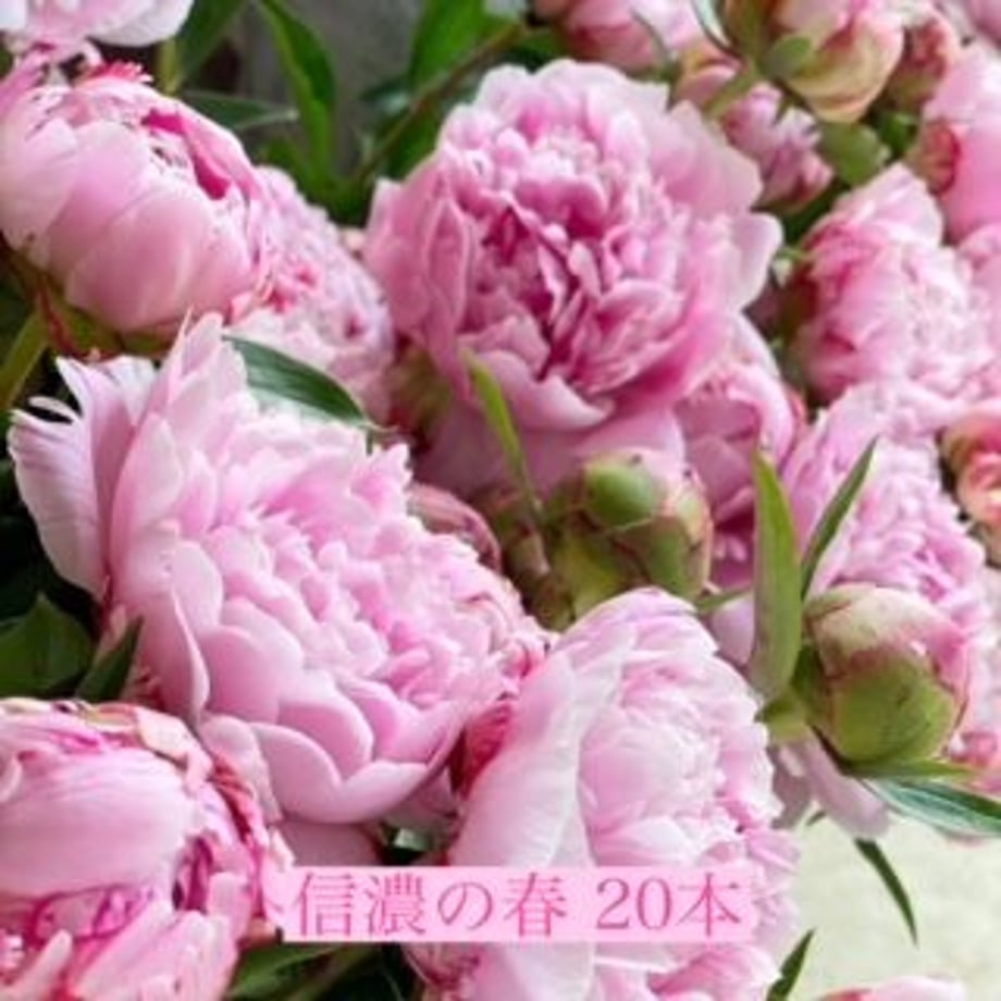 625f4e35a10275174cf6d8fe