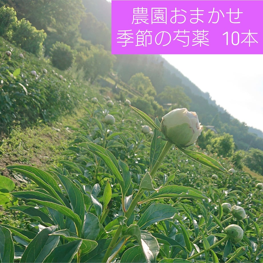 60657031a87fc54ae8c3381e