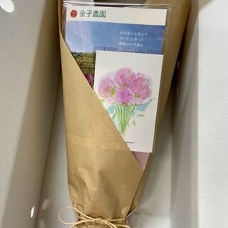 New♡【10本×2箱】母の日ラッピング包装【送料税込】一部地域を除く