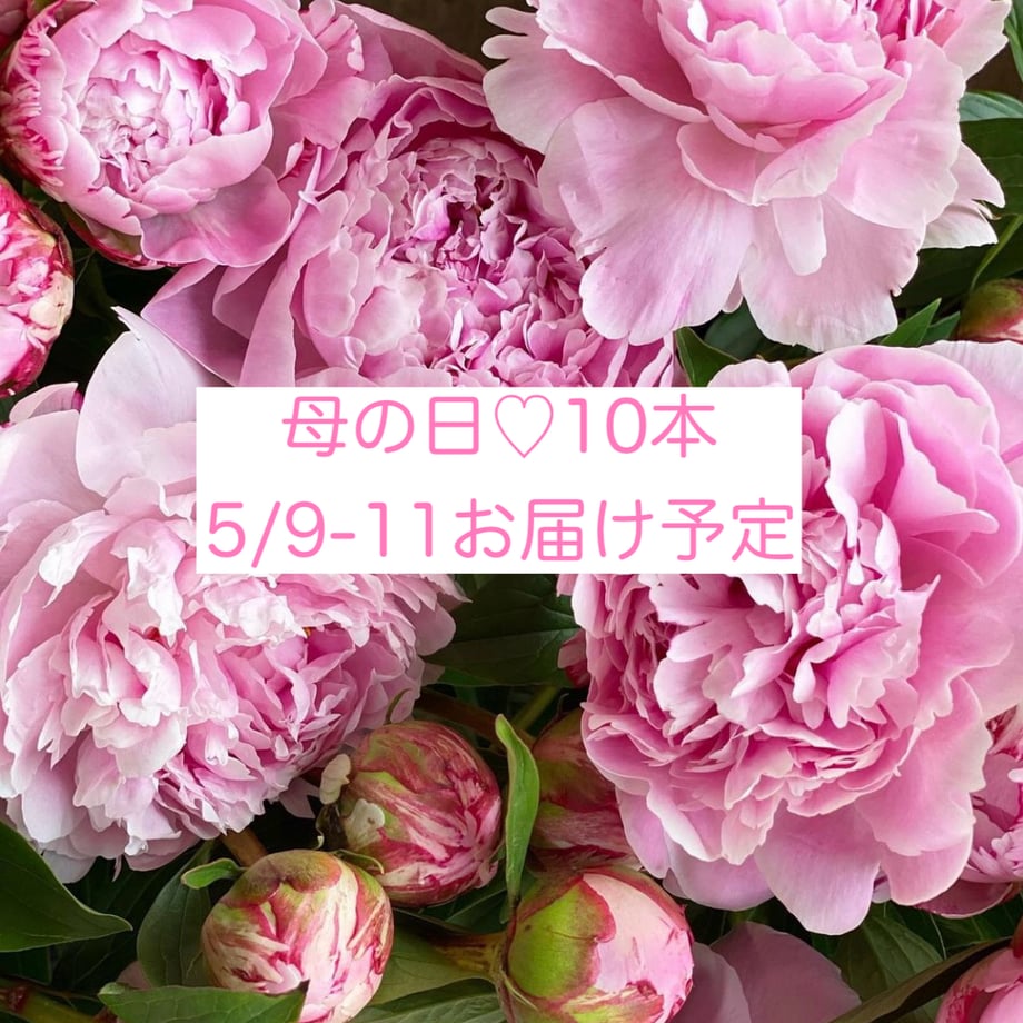 64301032da44f2002acb29a5